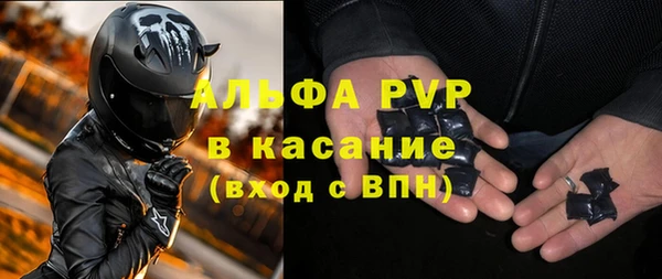 хмурый Алексин