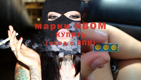хмурый Алексин