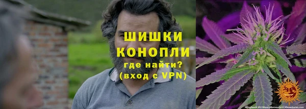 марки lsd Пересвет