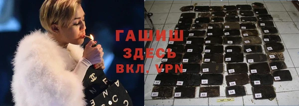 хмурый Алексин
