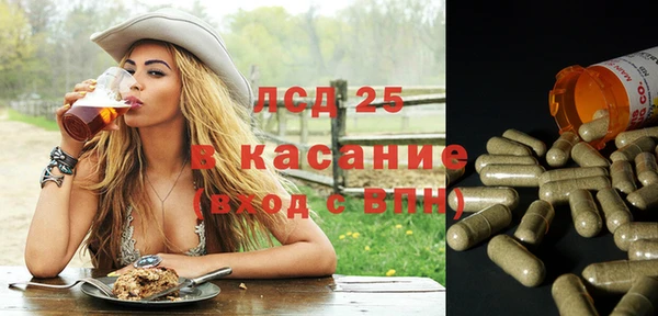 хмурый Алексин