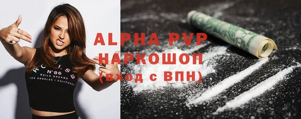 хмурый Алексин