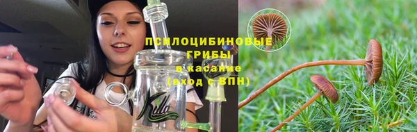 хмурый Алексин
