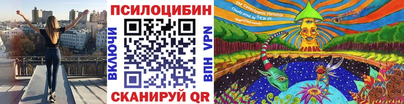 Псилоцибиновые грибы прущие грибы  Серов 
